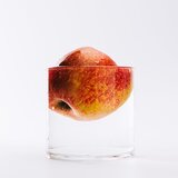 Loewe Solo Ella parfemska voda za žene 15 ml | shoptok.hr