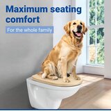 Wenko WC deska s počasnim zapiranjem 36 x 46 cm Galati – | Shoptok.si