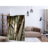  Paravan u 3 dijela - Fog and bamboo forest [Room Dividers] 135x172 | shoptok.hr