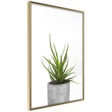  Poster - Piece of Nature I 40x60 | shoptok.hr
