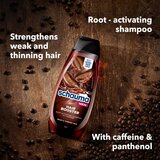 Schwarzkopf Sampon Hair Booster 400ml | ePonuda.com