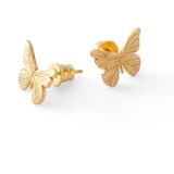 Giorre Woman's Earrings 38320 | Shoptok.si