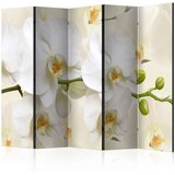  Paravan u 5 dijelova - Orchid Branch II [Room Dividers] 225x172 Cijene