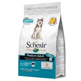 Schesir medium adult hrana za odrasle pse srednjih rasa,riba