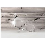  Tapeta - Light in Drops of Water 150x105 | shoptok.hr