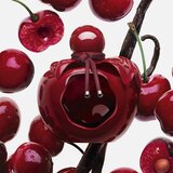 Nina Ricci Rouge Crush parfemska voda za žene 50 ml | shoptok.hr