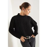 Lafaba Women's Black Crew Neck Hair Braided Knitwear Sweater