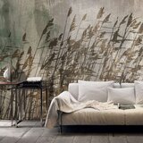  Tapeta - Water Grasses 450x315 Cijene