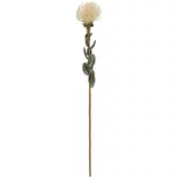 PT LIVING Umetna rastlina (višina 73 cm) Protea –