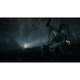 Deep Silver Blair Witch (PS4) | Shoptok.si
