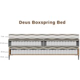 MID.YOU POSTELJA BOXSPRING x , tekstil, leseni material svetlo siva | Shoptok.si