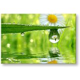  Slike na platnu cveće (moderne slike na platnu) | ePonuda.com