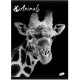 Teka meki uvez A4 crte 40+2L 80g Animal Elisa sortirani motivi | shoptok.hr