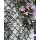 Nature oporna mreža za rastline 50x150 cm pvc zelene barve 6040702, (20758832) | Shoptok.si