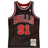 Mitchell And Ness Dennis Rodman 91 Chicago Bulls 1995-96 Swingman dres | shoptok.hr