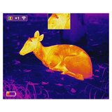 Night Pearl Scops 13 HUNT Wi-Fi - monokular za toplotno slikanje | Shoptok.si