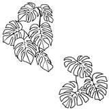 WALLXPERT Zidna dekoracija Spirit Leaf, 68 x 93 cm, Crna | Eponuda.ba