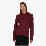 Champion Hooded sweatshirt | ePonuda.com