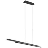 REALITY LED viseča svetilka Odio (22 W, Do x Š x V: 8,5 x 110 x 150 cm, Črna, Toplo bela) | Shoptok.si