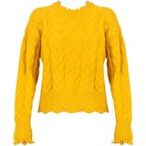 Pinko Puloverji 1G166W Y79B | Chianti Rumena Cene