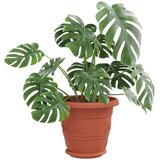  Krožni cvetlični pladenj 24 pcs Kamnito rdeča Ø 14 x 2 cm, (5000207766) | Shoptok.si