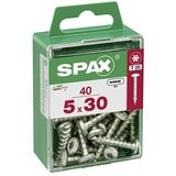 SPAX Vijak z lečasto glavo (5 x 30 mm, Pocinkano, 40 kos, TX za pogone Torx) | Shoptok.si