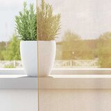 Voile zavjese s ušicama 2 kom boja pijeska | Shoptok.si