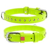 CLR WD 25 cm -Ogrlica za pse 9 mm/19 | Eponuda.com