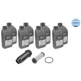 MEYLE OLJE+FILTER ZA MENJALNIK FORD 8L | Shoptok.si