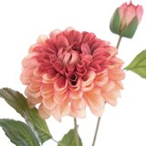 AmeliaHome Umjetne biljke u setu 10 kom (visina 62 cm) Dahlia – | shoptok.hr
