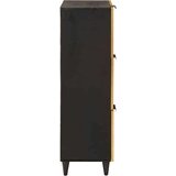 vidaXL Pomoćni ormarić s pohranom Crna i zlatna 40 x 33,5 x 110 cm | shoptok.hr