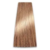 Prosalon Farba za kosu COLORART - Zlatno plava 7/3 100g