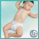 Pampers PLENICE Harmonie S1 50 KOS VP (2-5 KG) 8006540156513 | Shoptok.si