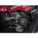 Ramiz Štirikolesnik za mladostnike na bencin MONSTER 200cc rdeča | Shoptok.si