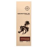 Montale Arabians Musk parfumirana voda unisex 100 ml | Shoptok.si