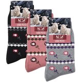 B.Fortuna 3 Pari Alpine Blossom volnene ženske nogavice | Shoptok.si