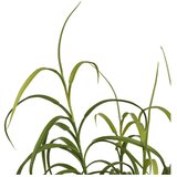 House Nordic Umjetna biljka (visina 89 cm) Grass – | shoptok.hr