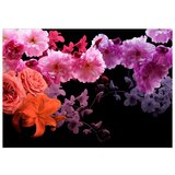  Samoljepljiva foto tapeta - Spring Cocktail 245x175 | shoptok.hr