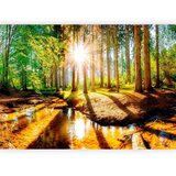 Artgeist FOTOTAPETA | Shoptok.si