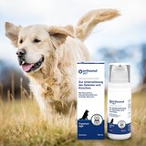 Pro Nutrition Orthomol VET Canimol Agil im Pumpspender 100ml | Eponuda.com