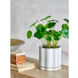 Bloomingville Cvetlični lonec za zelišča iz kamenine ø 13 cm Argyle – | Shoptok.si