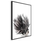  Plakat - Chihuahua 21x30 Crni okvir | shoptok.hr