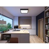  LED2 - LED plafonsko svetlo MILO LED/30W/230V crno 3000/4000K | Eponuda.com