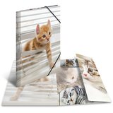 Herma Mapa z elastiko A3 PP, Glossy Mucki Cene