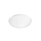 Kupatilska plafonjera Ella 1X60W