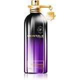 Montale oud pashmina parfumska voda 100 ml unisex Cene