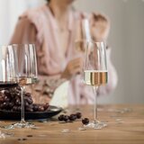 Schott Zwiesel Vivid Senses Light&Fresh kozarec za peneča vina | Shoptok.si