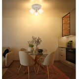 Globo REFLEKTOR PLANTA 34/12,5 cm | Shoptok.si