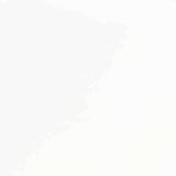 vidaXL Jedilni stoli z blazinami 2 kosa bele masivne lesene gume | Shoptok.si