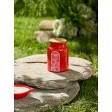 Sinsay Svijeća Strawberry Cream | shoptok.hr